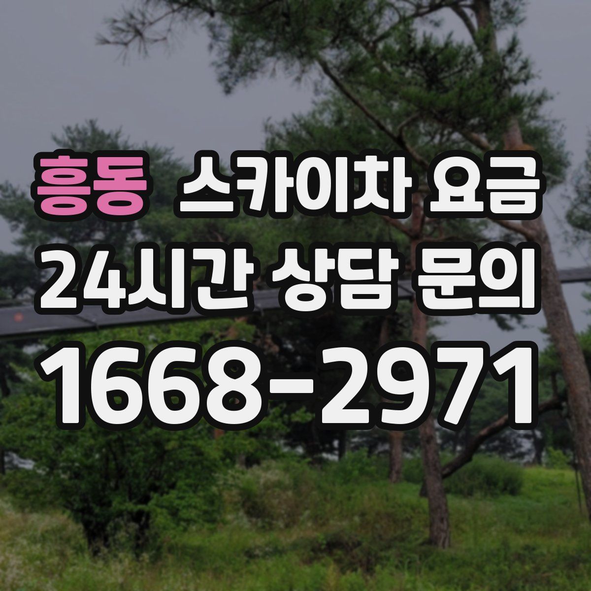 흥동 스카이차 요금