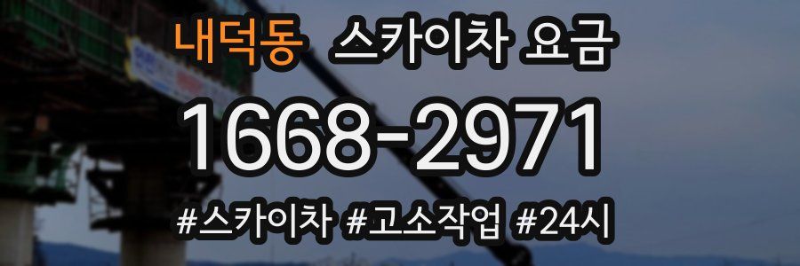 내덕동 스카이차 요금