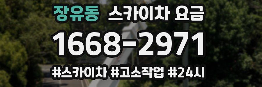 장유동 스카이차 요금