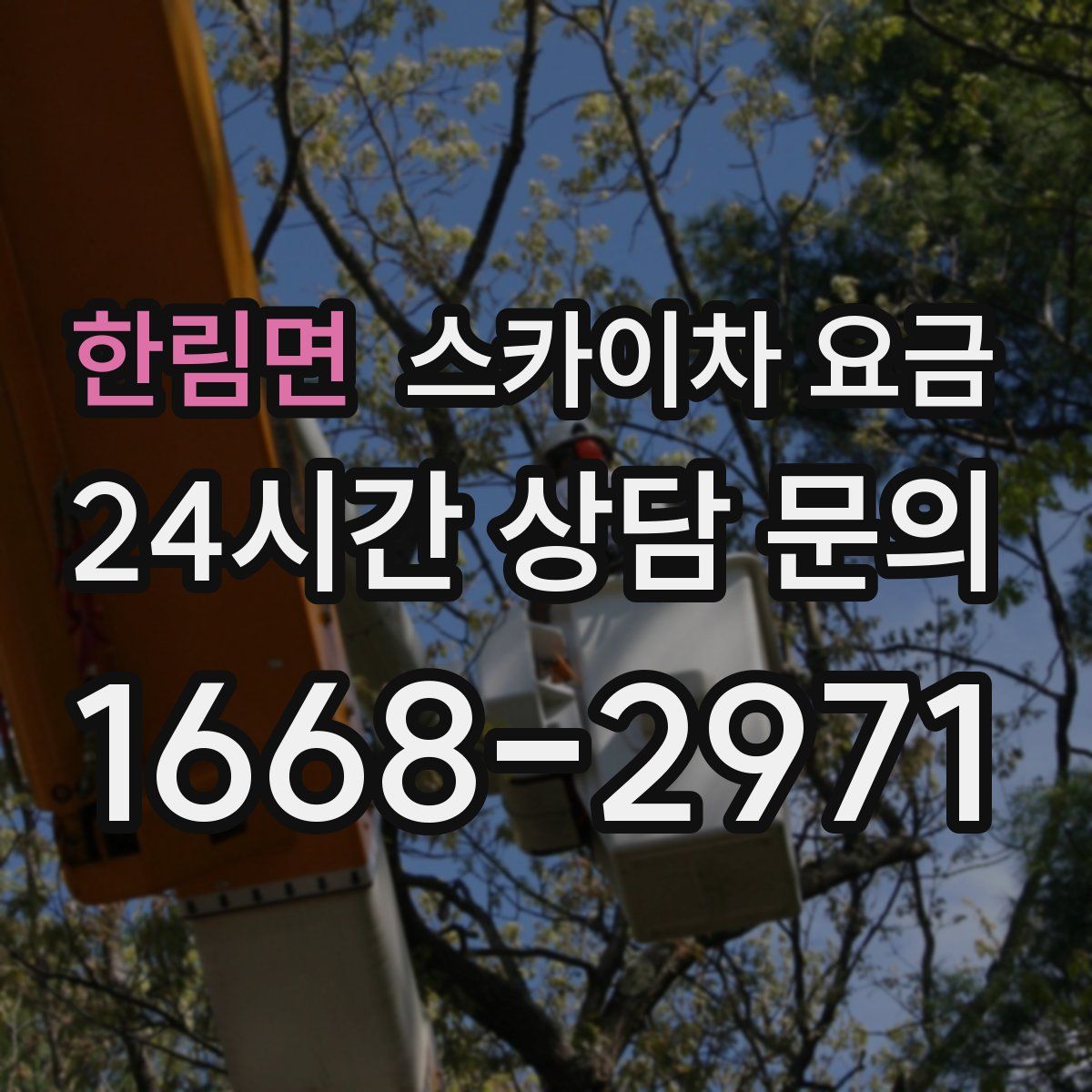 한림면 스카이차 요금