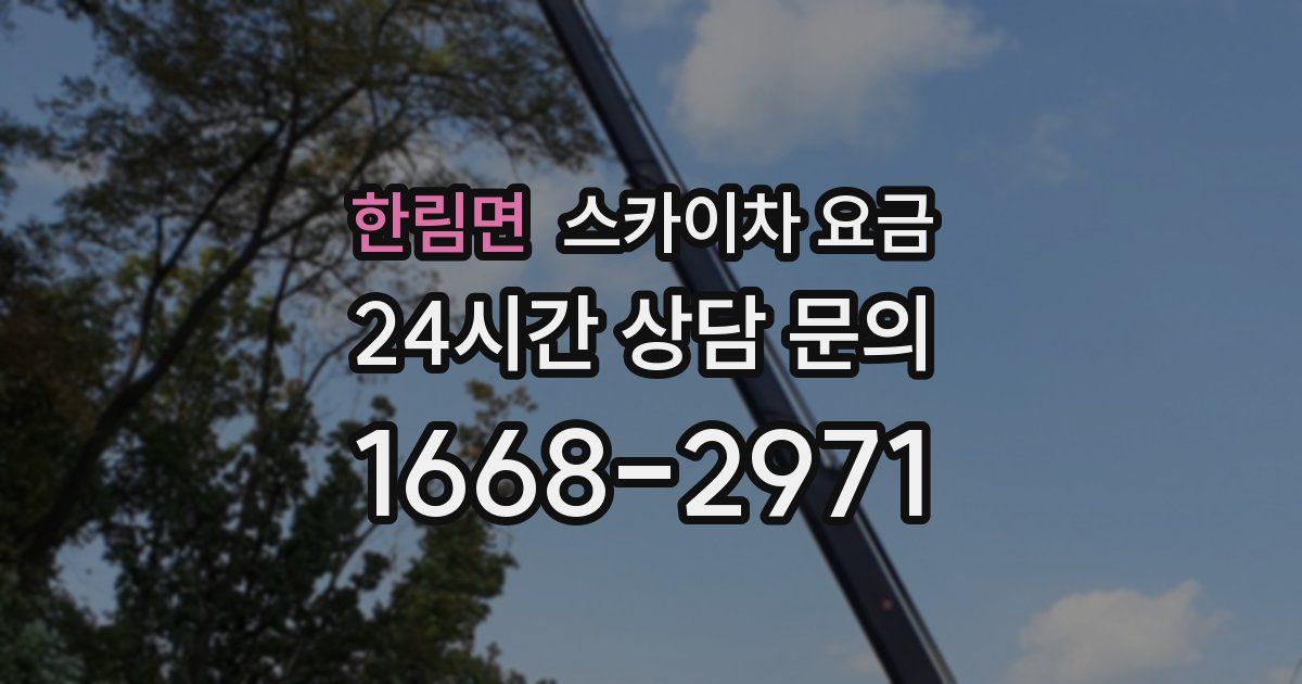 한림면 스카이차 요금