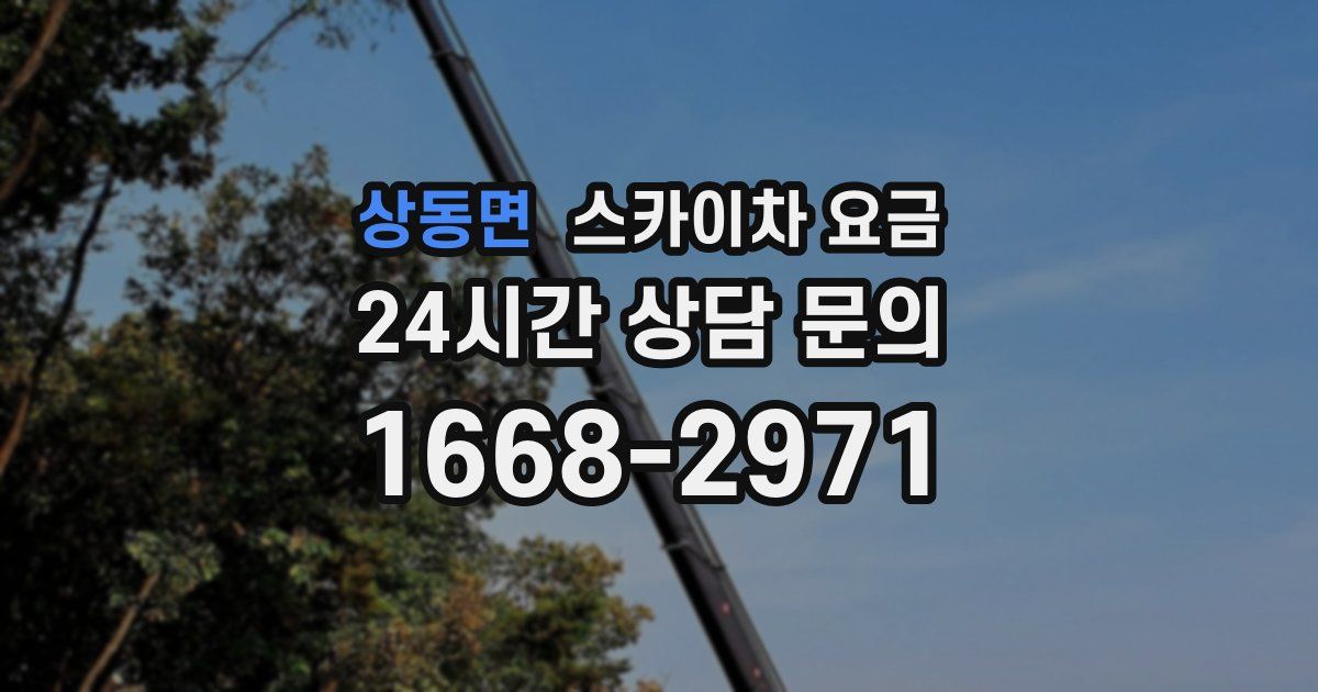 상동면 스카이차 요금