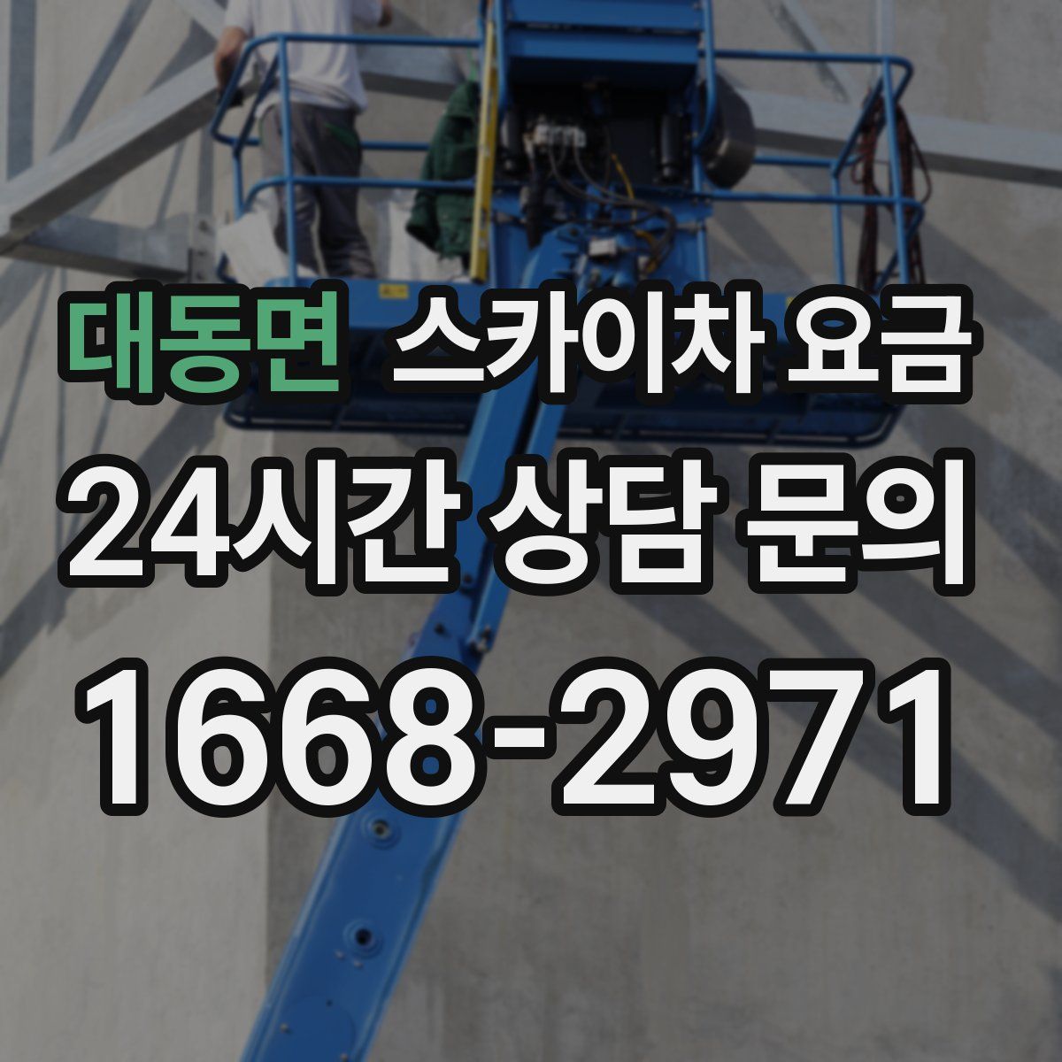 대동면 스카이차 요금