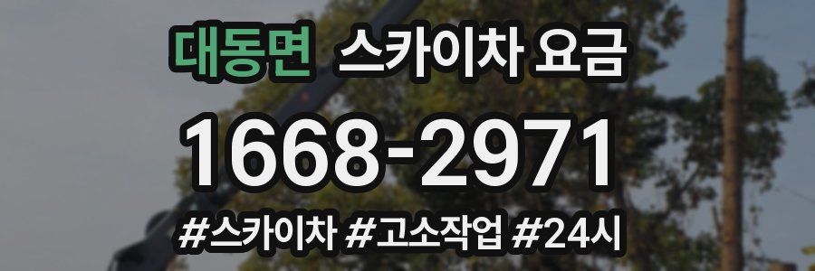 대동면 스카이차 요금