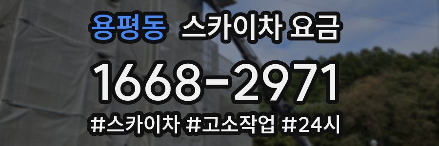 용평동 스카이차 요금
