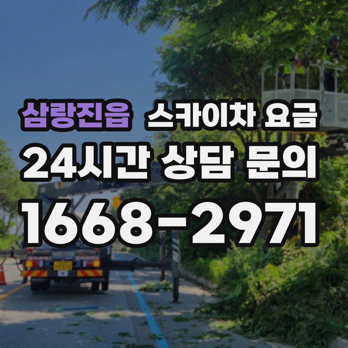 삼랑진읍 스카이차 요금
