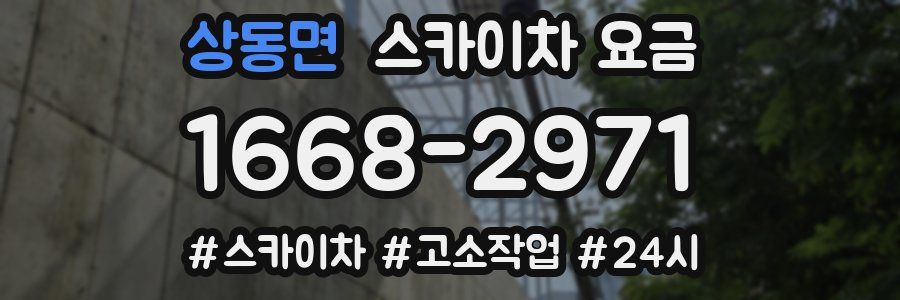 상동면 스카이차 요금