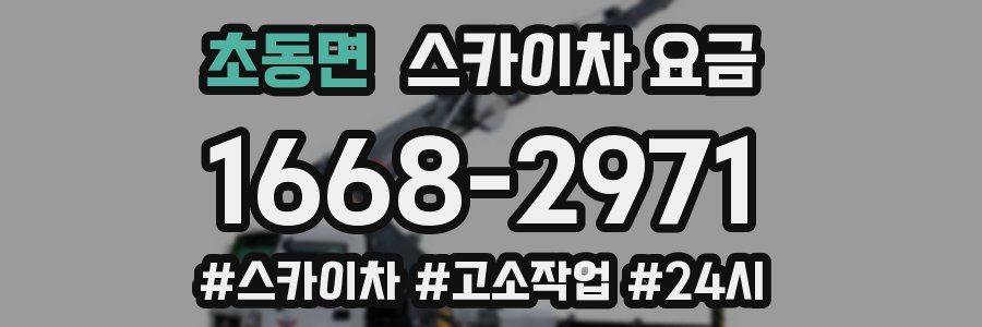 초동면 스카이차 요금