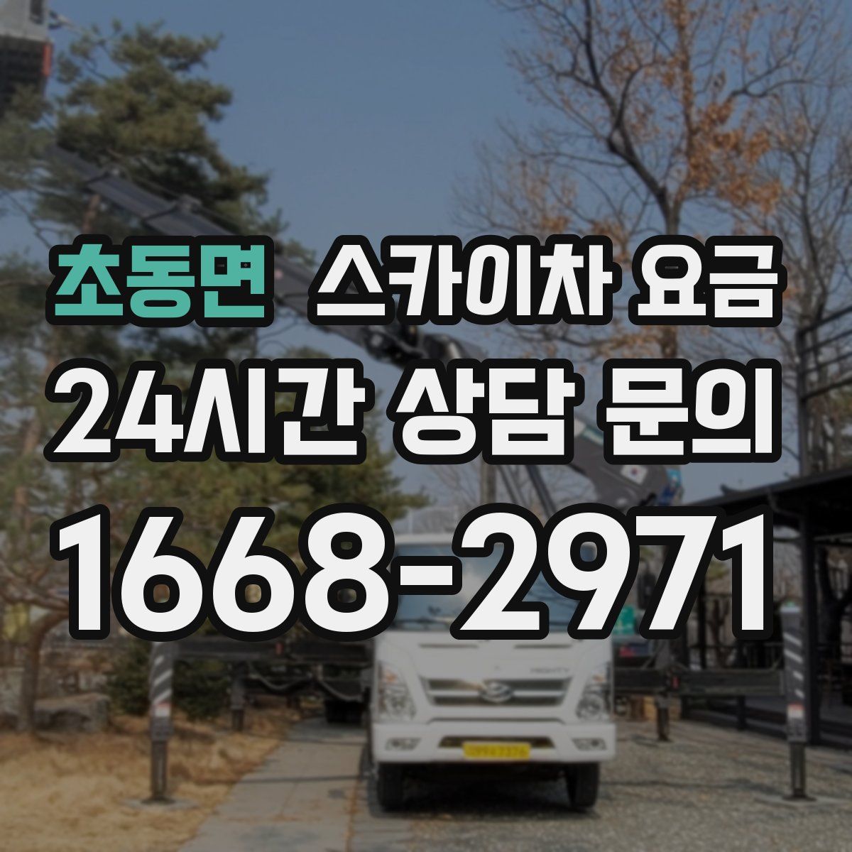 초동면 스카이차 요금