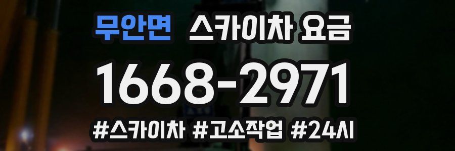 무안면 스카이차 요금