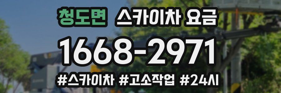 청도면 스카이차 요금