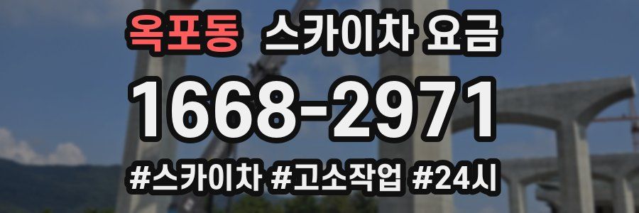 옥포동 스카이차 요금