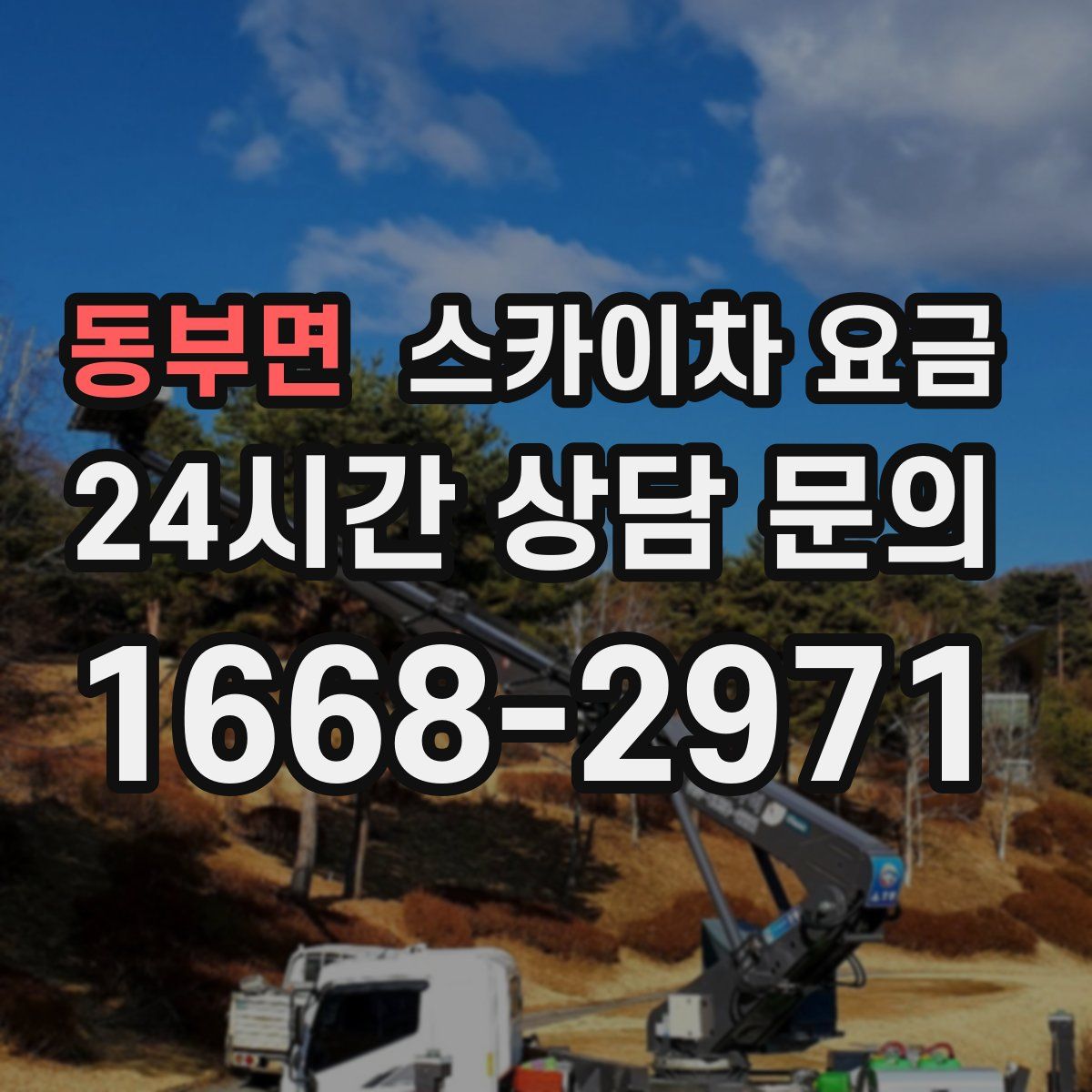 동부면 스카이차 요금