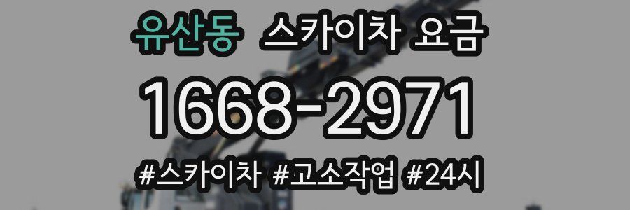 유산동 스카이차 요금