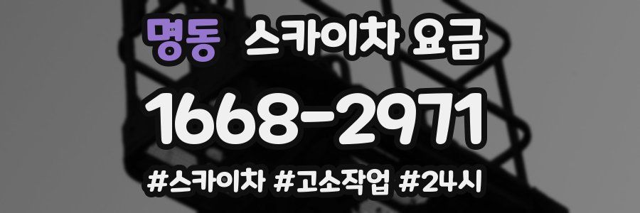 명동 스카이차 요금