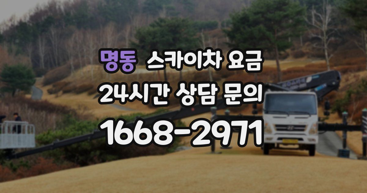 명동 스카이차 요금