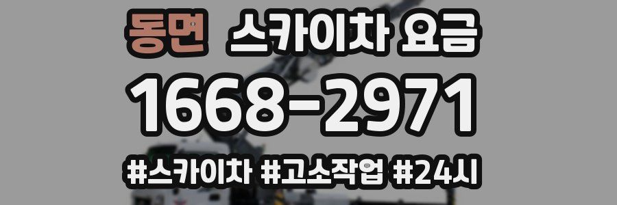 동면 스카이차 요금