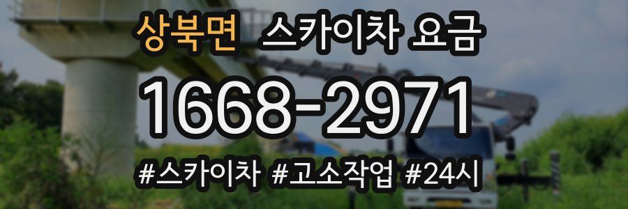 상북면 스카이차 요금