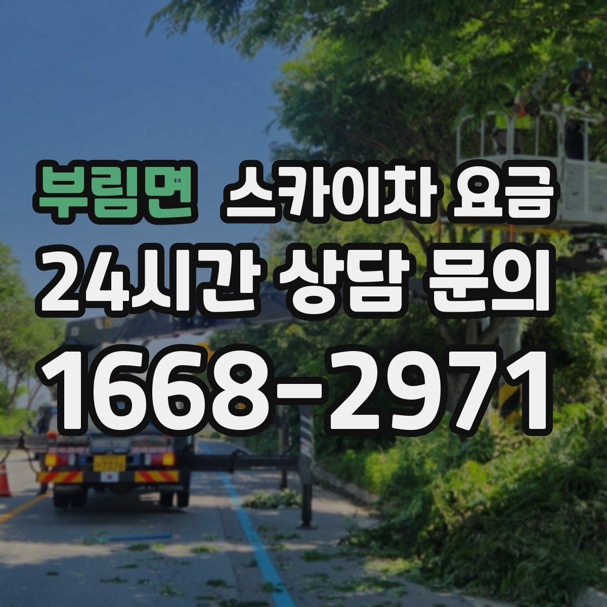 부림면 스카이차 요금 유도원 필요 여부를 판단하는 포인트