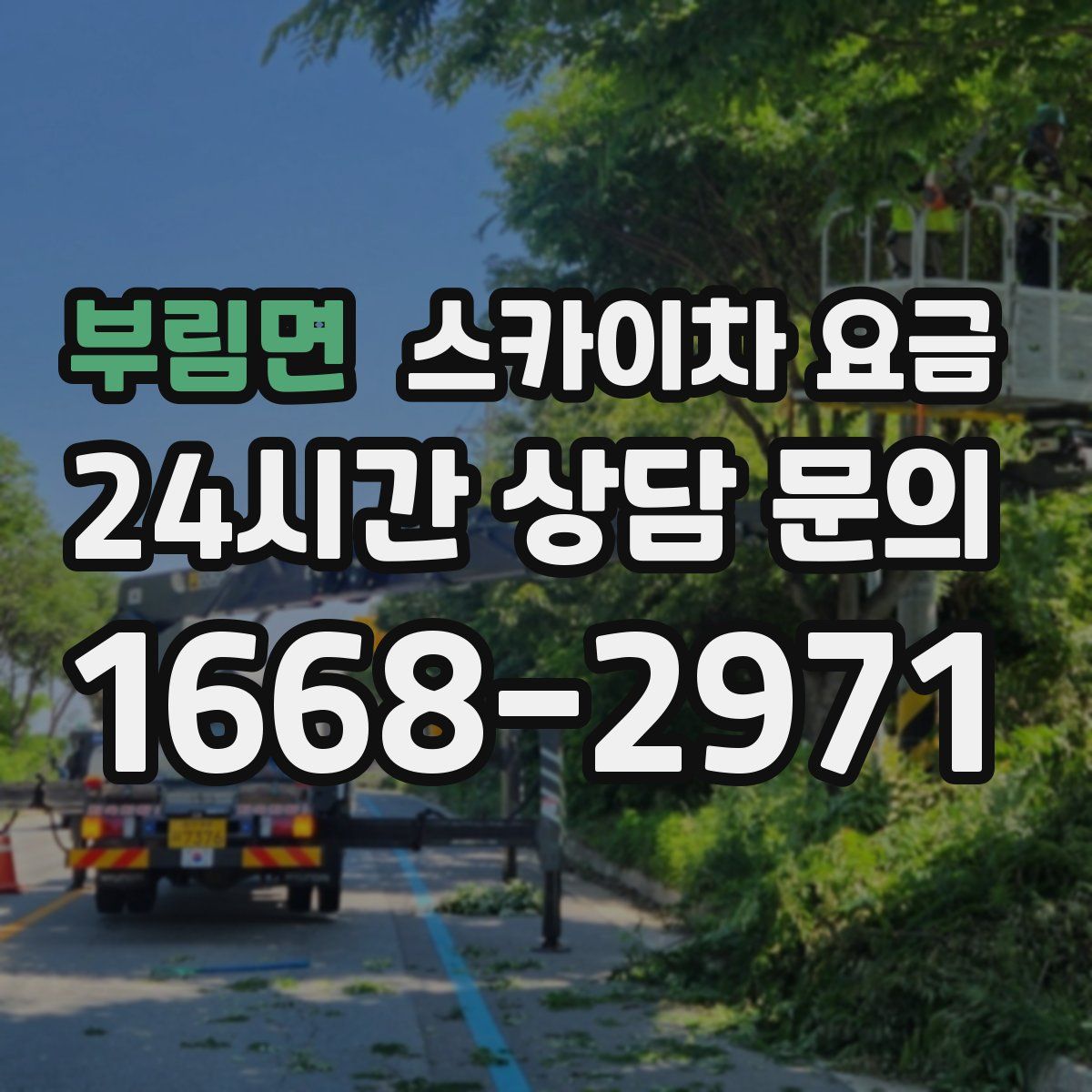 부림면 스카이차 요금