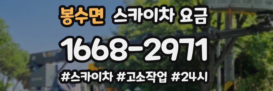 봉수면 스카이차 요금