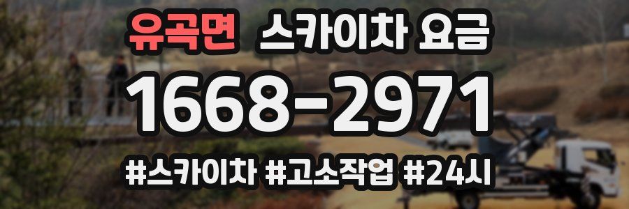 유곡면 스카이차 요금