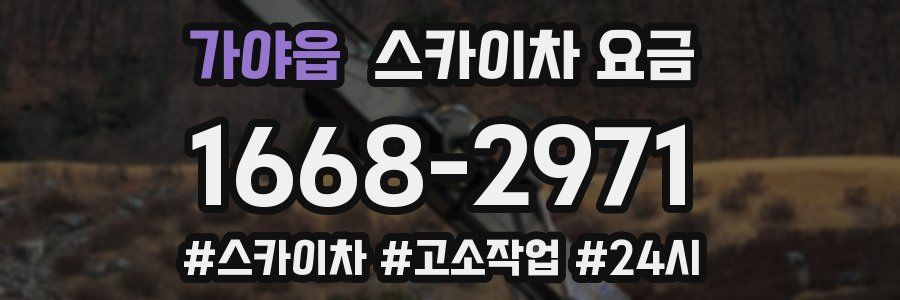 가야읍 스카이차 요금
