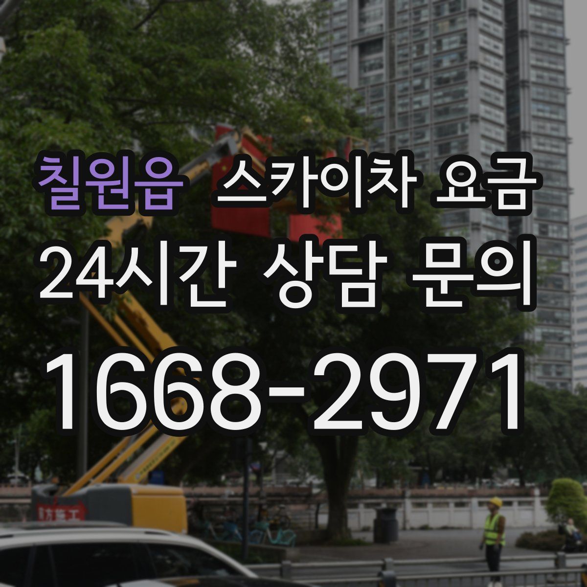 칠원읍 스카이차 요금