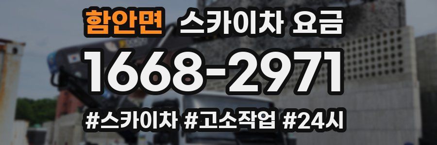 함안면 스카이차 요금