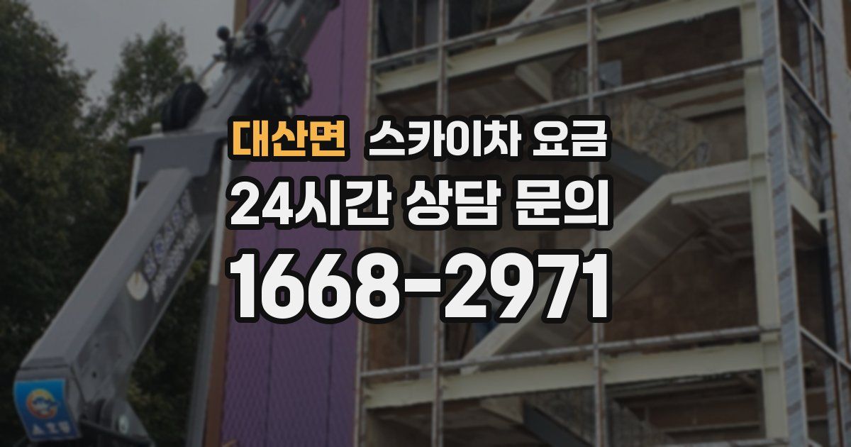 대산면 스카이차 요금