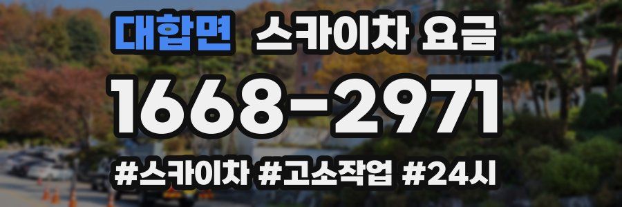 대합면 스카이차 요금