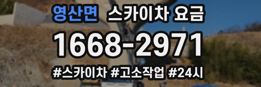 영산면 스카이차 요금