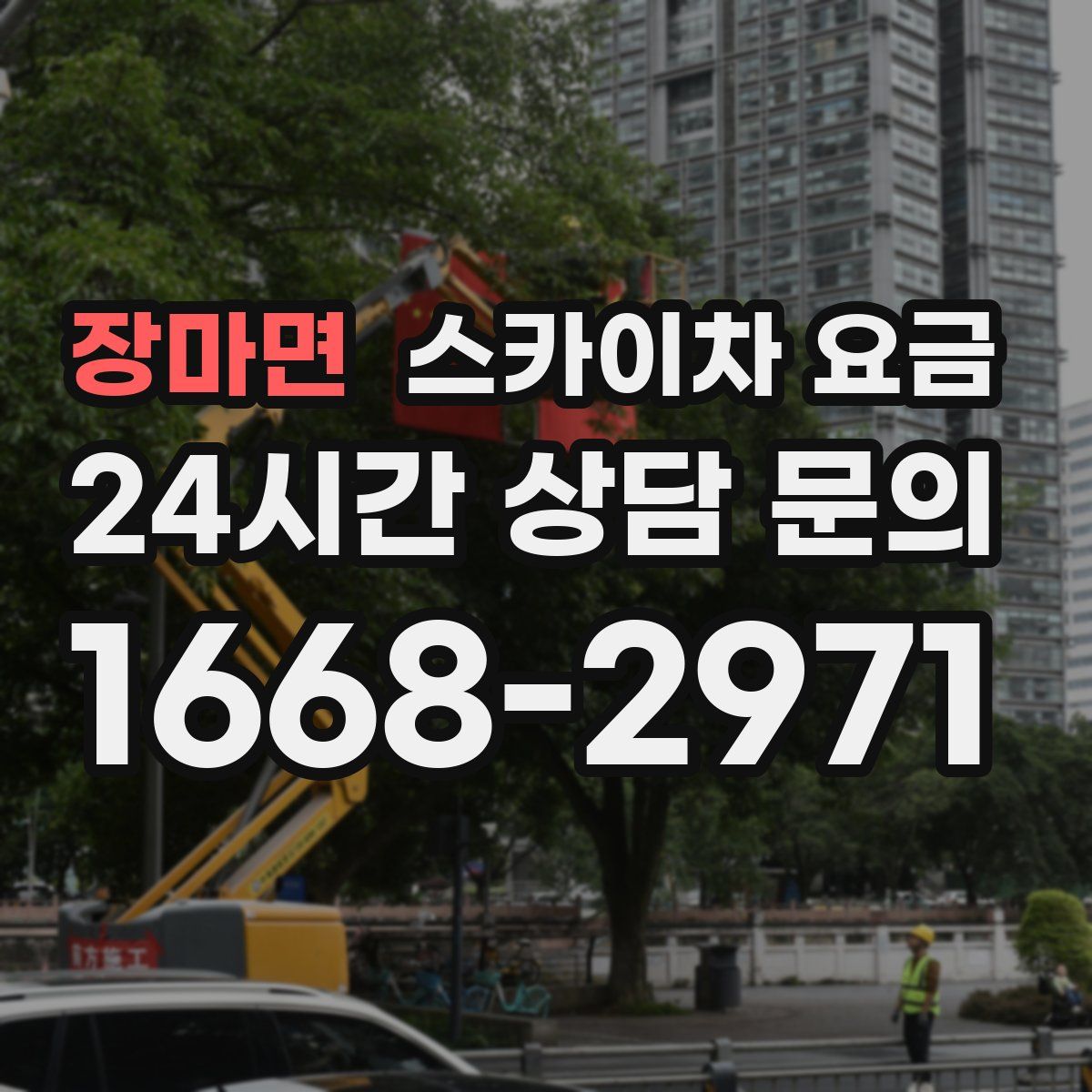 장마면 스카이차 요금