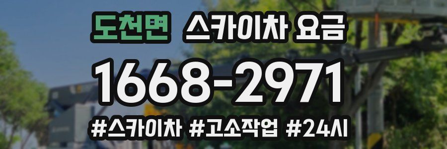 도천면 스카이차 요금