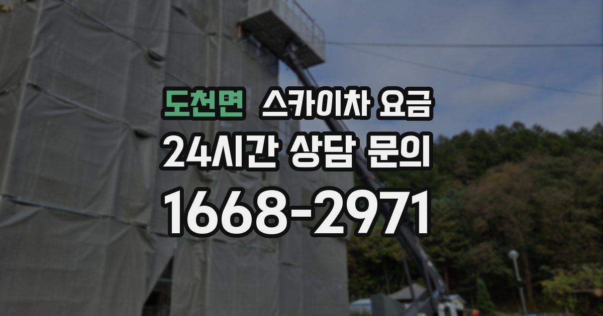 도천면 스카이차 요금