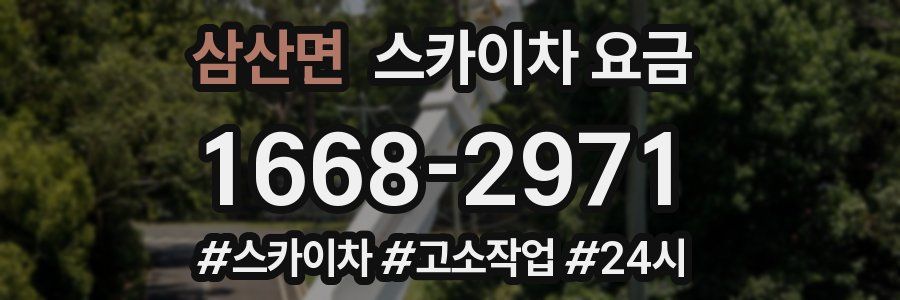 삼산면 스카이차 요금