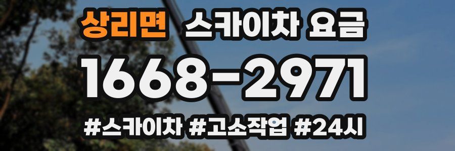 상리면 스카이차 요금