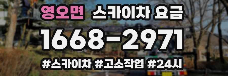 영오면 스카이차 요금