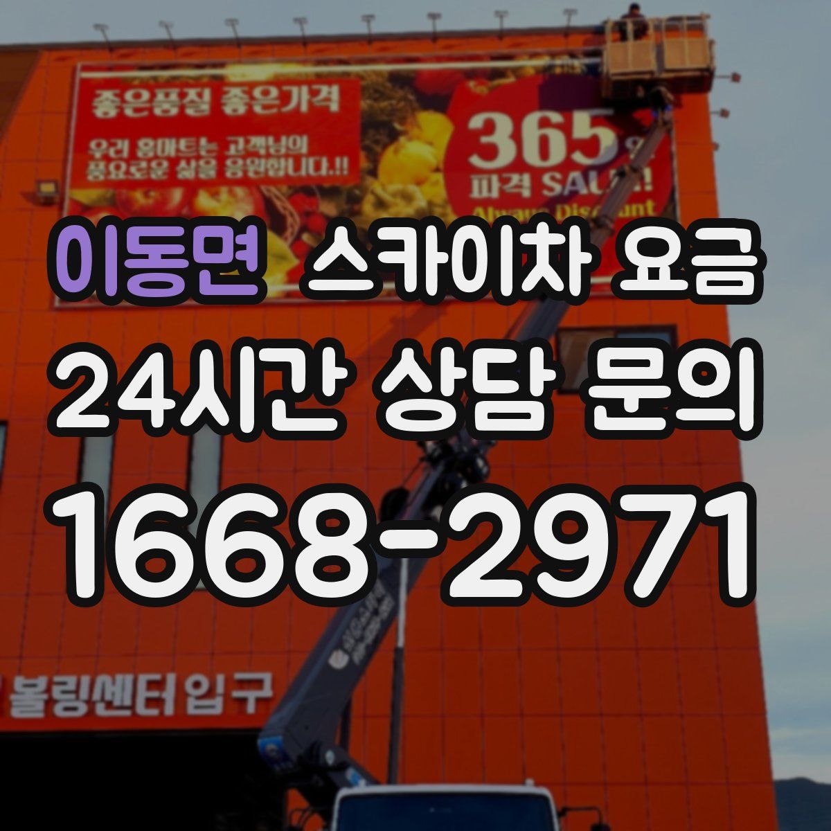 이동면 스카이차 요금