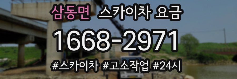 삼동면 스카이차 요금