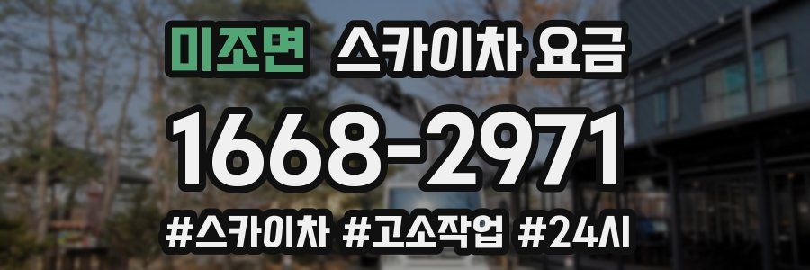 미조면 스카이차 요금