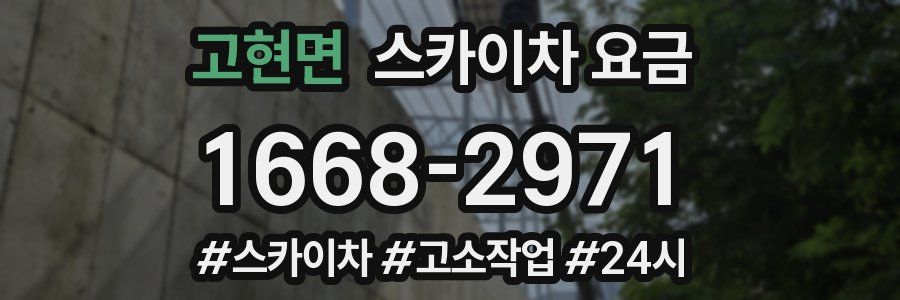 고현면 스카이차 요금