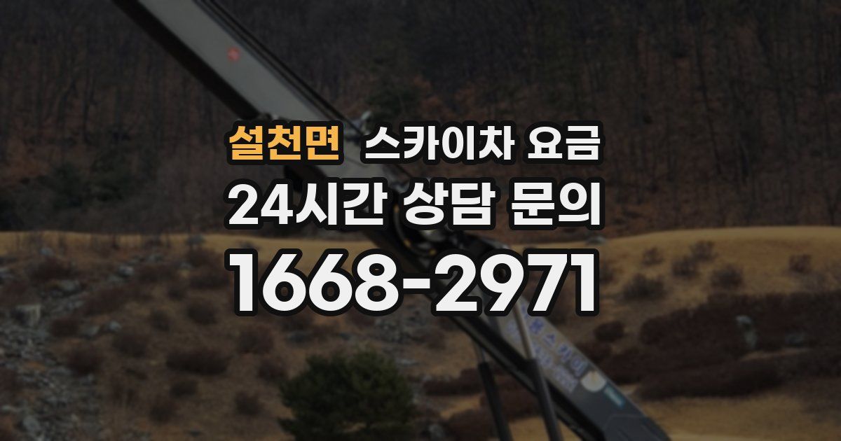 설천면 스카이차 요금