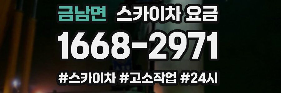 금남면 스카이차 요금