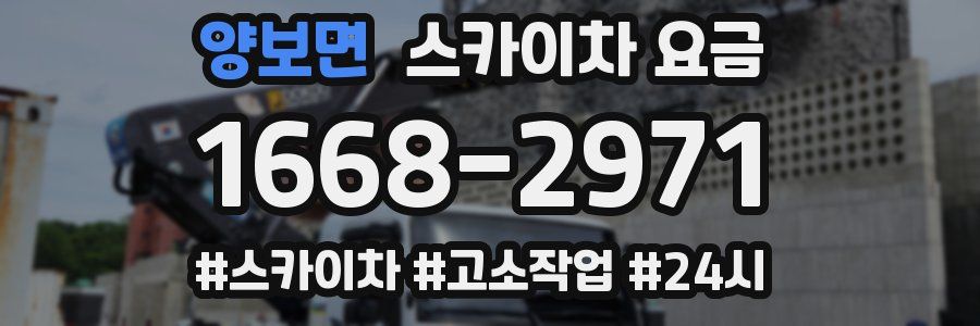 양보면 스카이차 요금