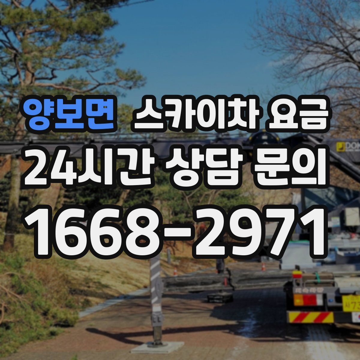 양보면 스카이차 요금