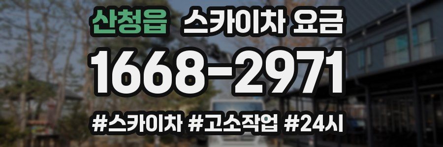 산청읍 스카이차 요금