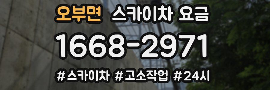 오부면 스카이차 요금