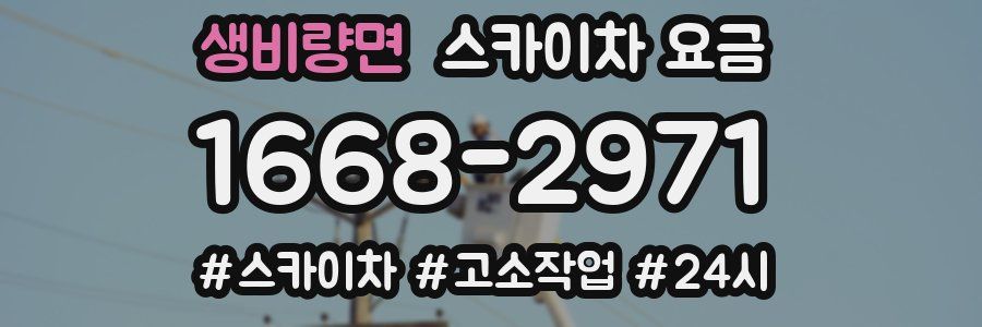 생비량면 스카이차 요금