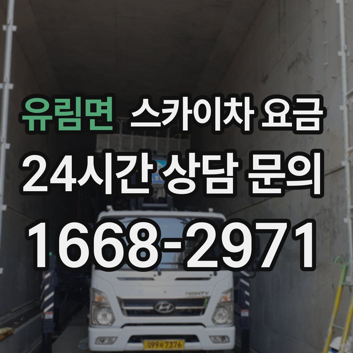 유림면 스카이차 요금